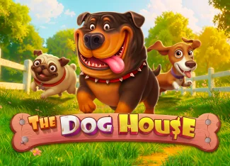 The Dog House RTP 96.51% ve Volatilite Analizi