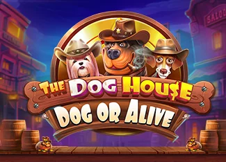 The Dog House Megaways Volatilite ve Kazanç Dağılım Analizi